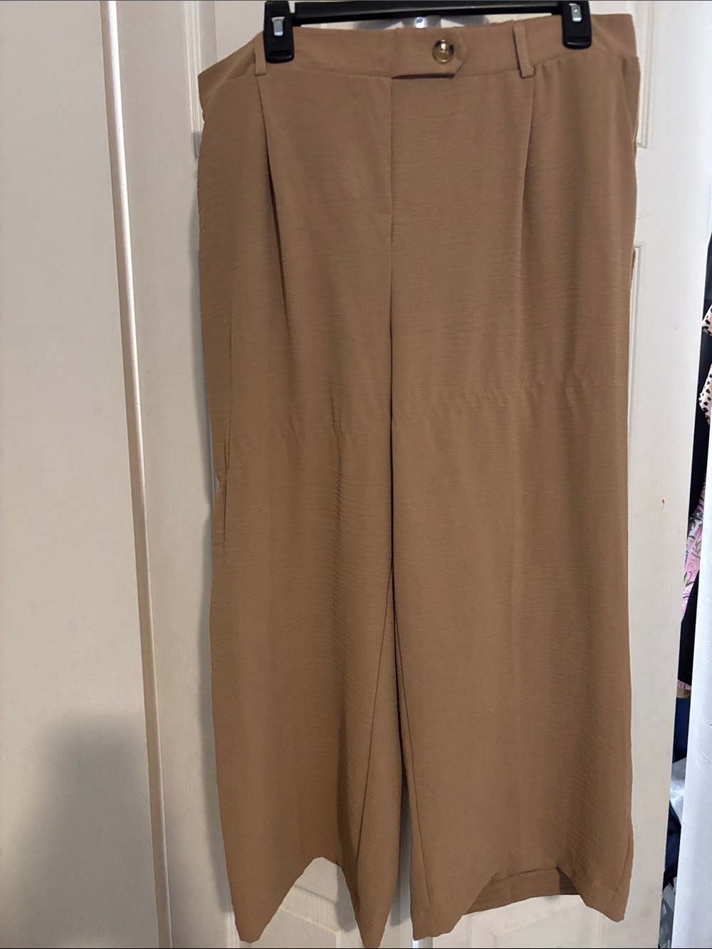 Rachel Zoe Wide-Leg Pants in Camel Brown